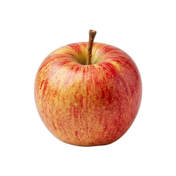 Fuji Apple